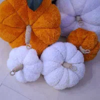 کدوی تزیئنی