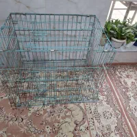 قفس عروس هلندی