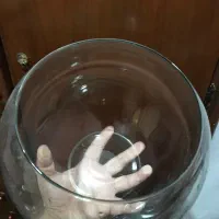 تنگ ماهی|صنایع دستی و سایر لوازم تزئینی|تهران, شمیراننو|دیوار