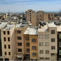 نیروی کار خانم برای کار خانه