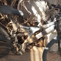 دوچرخه ۲۶سالم دنده ای و کمک فنردار|دوچرخه، اسکیت، اسکوتر|کرمانشاه, |دیوار