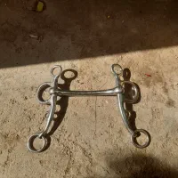 دهنه اسب|اسب و تجهیزات اسبسواری|ریگان, |دیوار