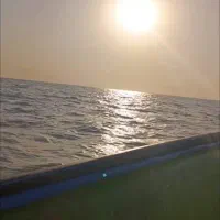 نیازمند دبیر زبان