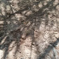 2ساعت آب وزمین