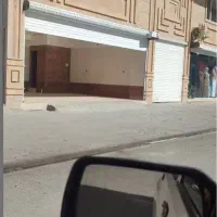 فروش شرایط ویژه مغازه دشت بهشت|فروش مغازه و غرفه|محمدشهر, محمدشهر|دیوار