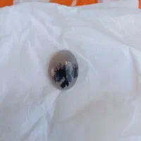 نقیم شجر|جواهرات|جوانرود, |دیوار