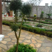 طراحی و محوطه سازی|خدمات باغبانی و درختکاری|رشت, لاکان|دیوار