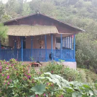 کلبه جنگلی بکردل طبیعت