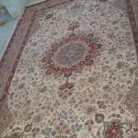 جفت قالی ۲۴ متری