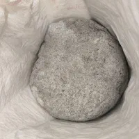 پودر شاخ|خدمات باغبانی و درختکاری|فلاورجان, |دیوار