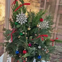 درخت کریسمس