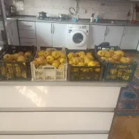 باسلام به درجه یک