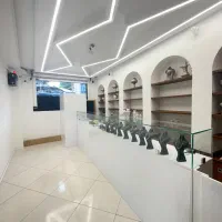 خرید و فروش انواع شمش و ساچمه نقره و زیورالات نقره