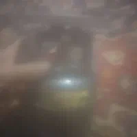 پیکنیک مسافرتی