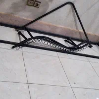 چوبکار،رگال دیواری،تیله‌ای