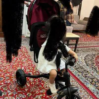 سرچرخه دلیجان مدل لوتوس