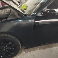 نیازمند نقاش حرفه ایی در صدرا