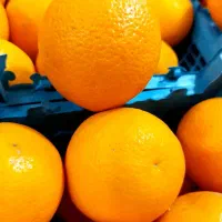 پرتغال شیرین و آبدار + هایپر میوه گلچین|خوردنی و آشامیدنی|شاهدشهر, |دیوار