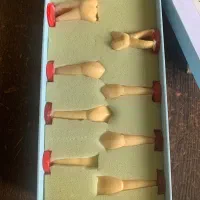 مدل آموزشی آناتومی دندان