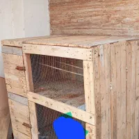 قفس چوبی دوطبقه ای