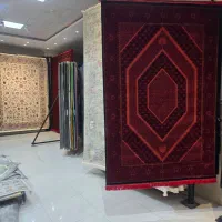 فرش دنیا کد ۶۸۷|فرش|اشنویه, |دیوار