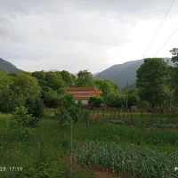فروش ویلا فلت منطقه کوهستانی زانوس|فروش خانه و ویلا|کجور, |دیوار