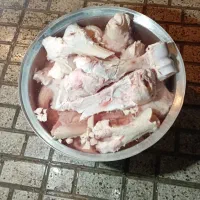 آب قلم تازه و عصاره ی قلم تازه