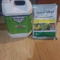 دوعددسم قارچ کش و افت برای درختای مرکبات