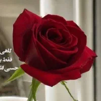 امتیازنیک وام ملت