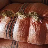 کاه|خدمات باغبانی و درختکاری|پلدشت, |دیوار