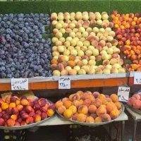 کارگر ماهر جهت میوه فروشی