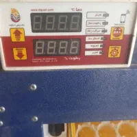 دستگاه جوجه کشی تمام اتوماتیک|لوازم جانبی حیوانات|خرمآباد, |دیوار