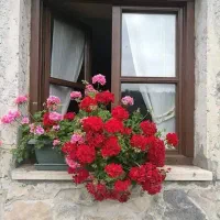 کار در منزل اشپزی