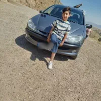 پژو sd