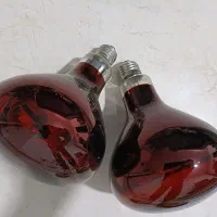 لامپ مادر
