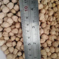 نخود درشت پزا