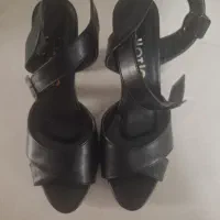 کفش مجلسی