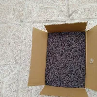 کشمش بیدانه آفتاب خشک|عمدهفروشی|اقبالیه, |دیوار