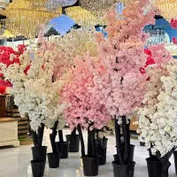 بورس انواع شکوفه و درختچه های وارداتی