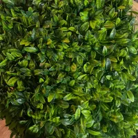 پخش و نصب گرین وال و دیوار سبز|گل مصنوعی|ارومیه, |دیوار