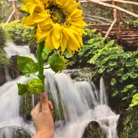 جذابیت تازگی و طراوت رو ب خونه هاتون بیارید