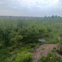 باغ-و-زمین-در-باغشن-گچ