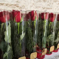 گل رز تک شاخه ، شیشه استوانه ۳۰ سانتی ، بازار گل|گل و گیاه طبیعی|تهران, بازار گل خاوران|دیوار