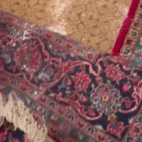 فروش فرش دست باف کاشانی دست دوم ۳عدد|فرش|شیراز, ارم|دیوار