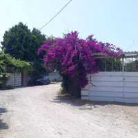 ۳۰۰۰ متر باغ میوه