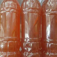 تولیدخونگی و پخش عمده ابغوره عسگری باضمانت