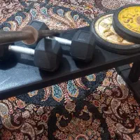 دمبل ۱۰ کیلویی میله هالتر ووزنه هالتر ۱۰ و میز نو|تجهیزات ورزشی|محمدشهر, محمدشهر|دیوار