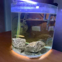 اکواریوم شیشه ای با تمام تجهیزات