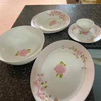 ظرف ارکوپال