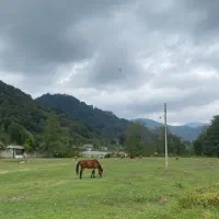 فروش دو قطعه زمین ۱۰۰ و ۲۵۰ متری مسکونی اسالم